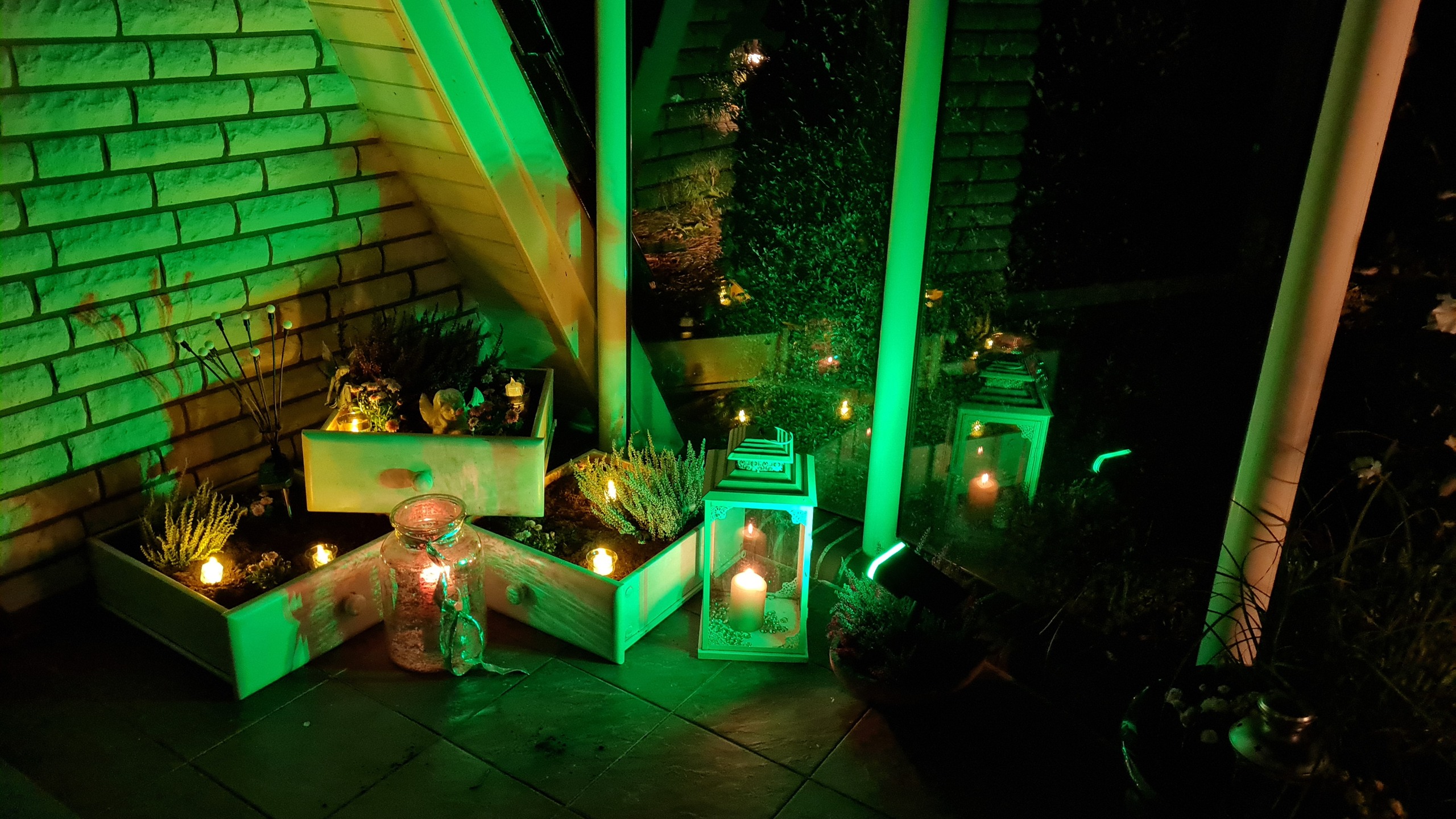 Grüne Lichtstimmung an einem Gartenabend