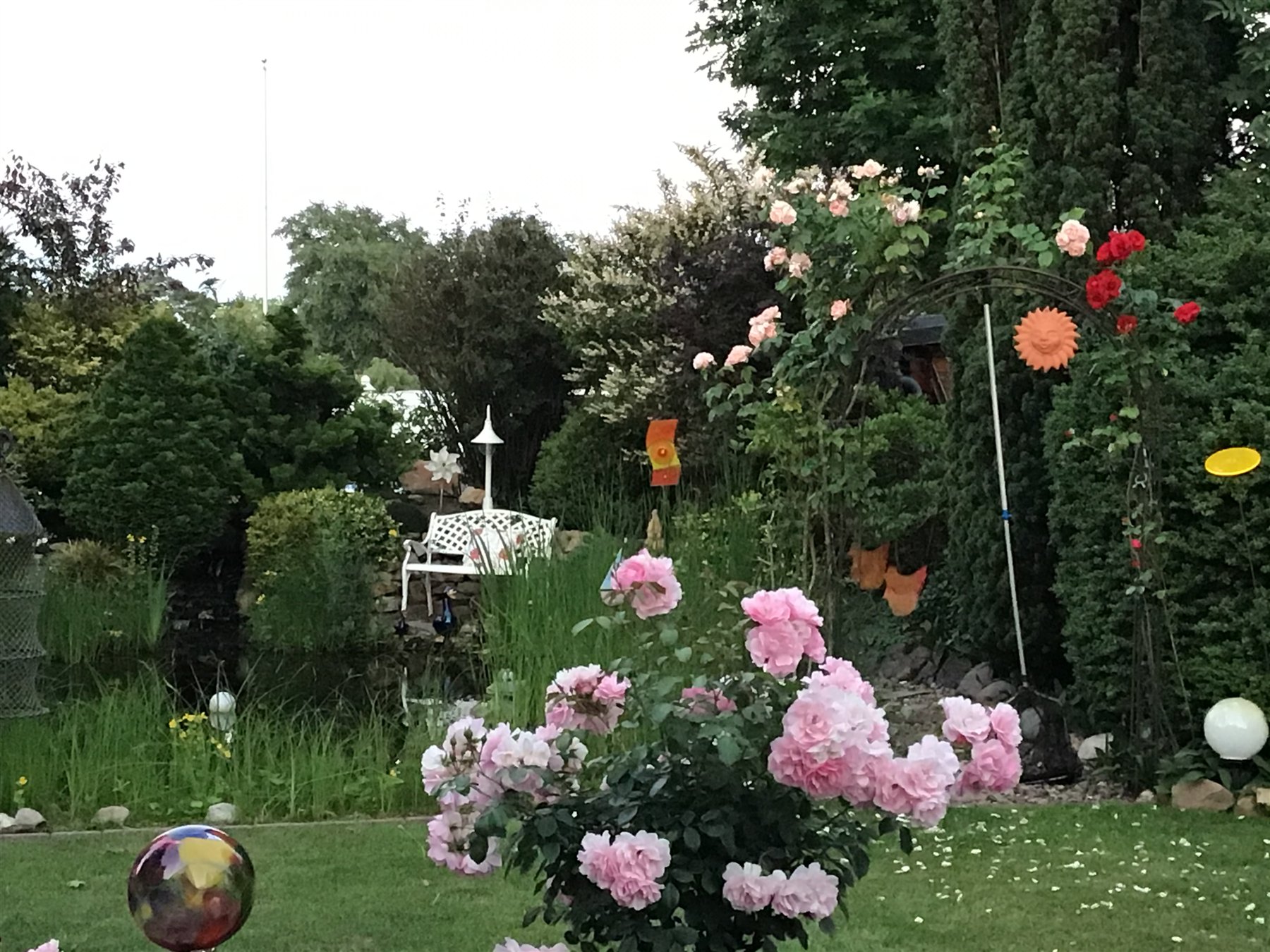Farbenfrohe Rosenvielfalt im Garten