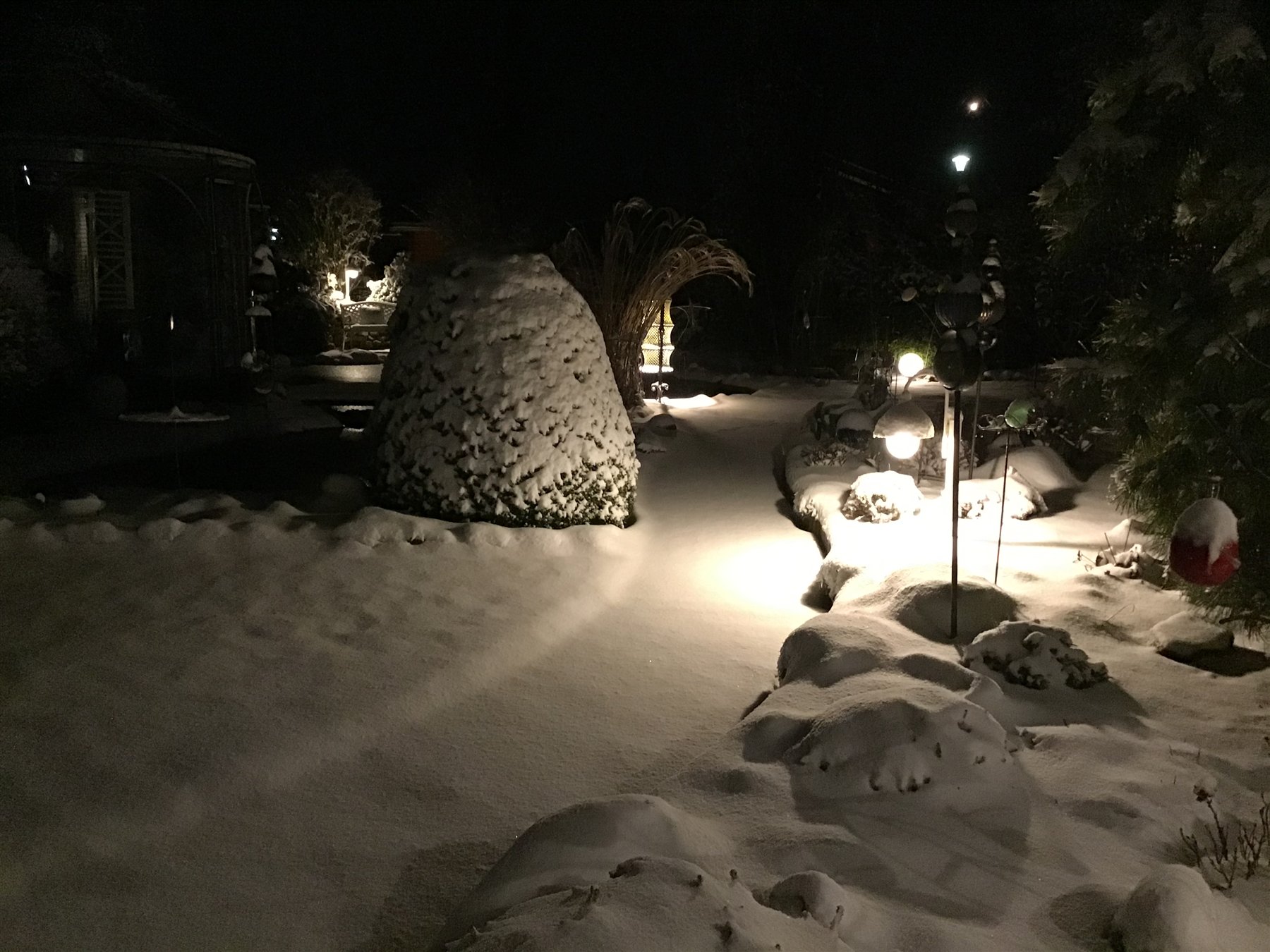 Verschneiter Garten in der Nacht