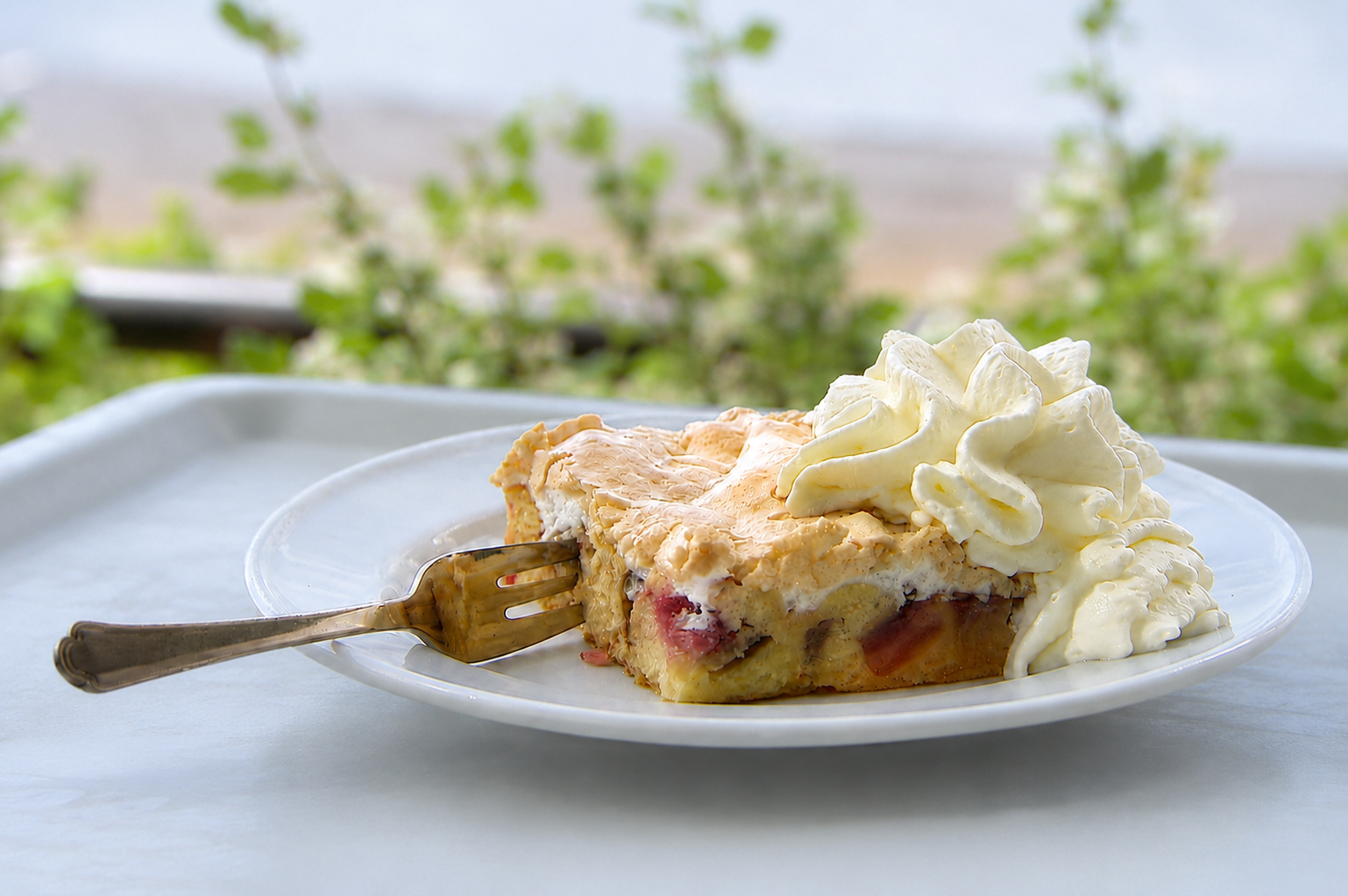 Stück Rhabarberkuchen mit Sahne auf einem Teller im Grünen