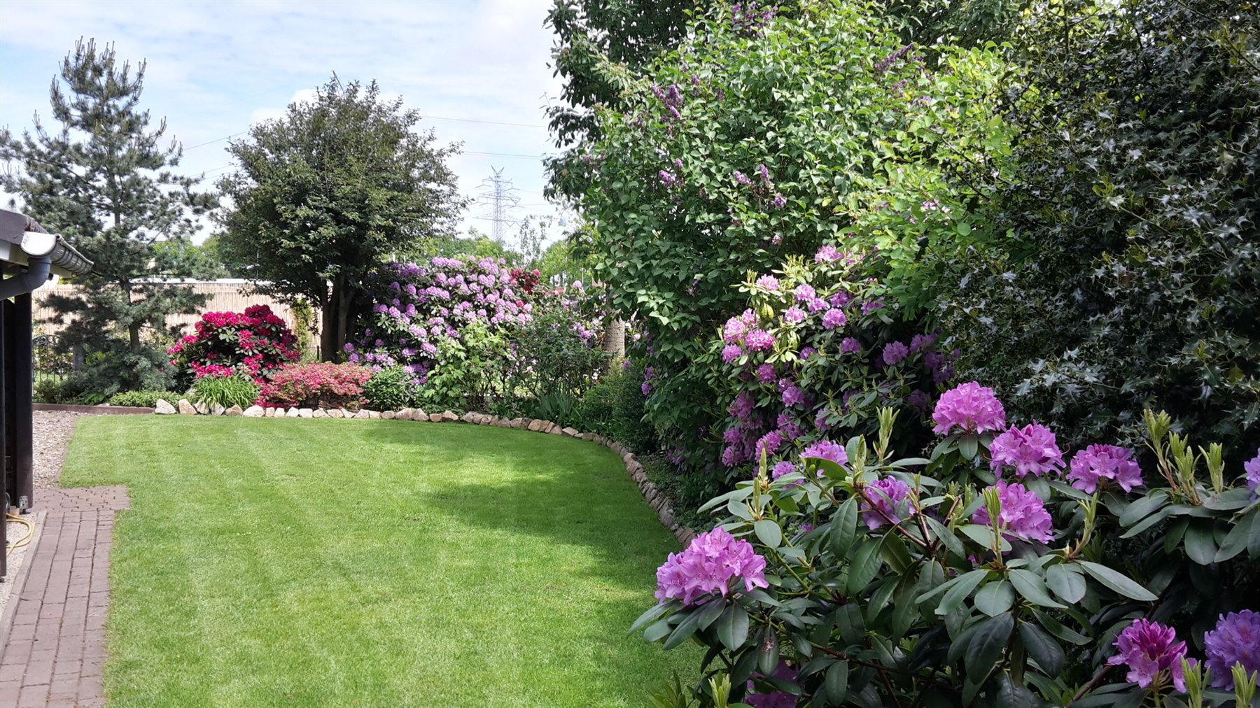 Gepflegter Garten mit blühenden Hortensien