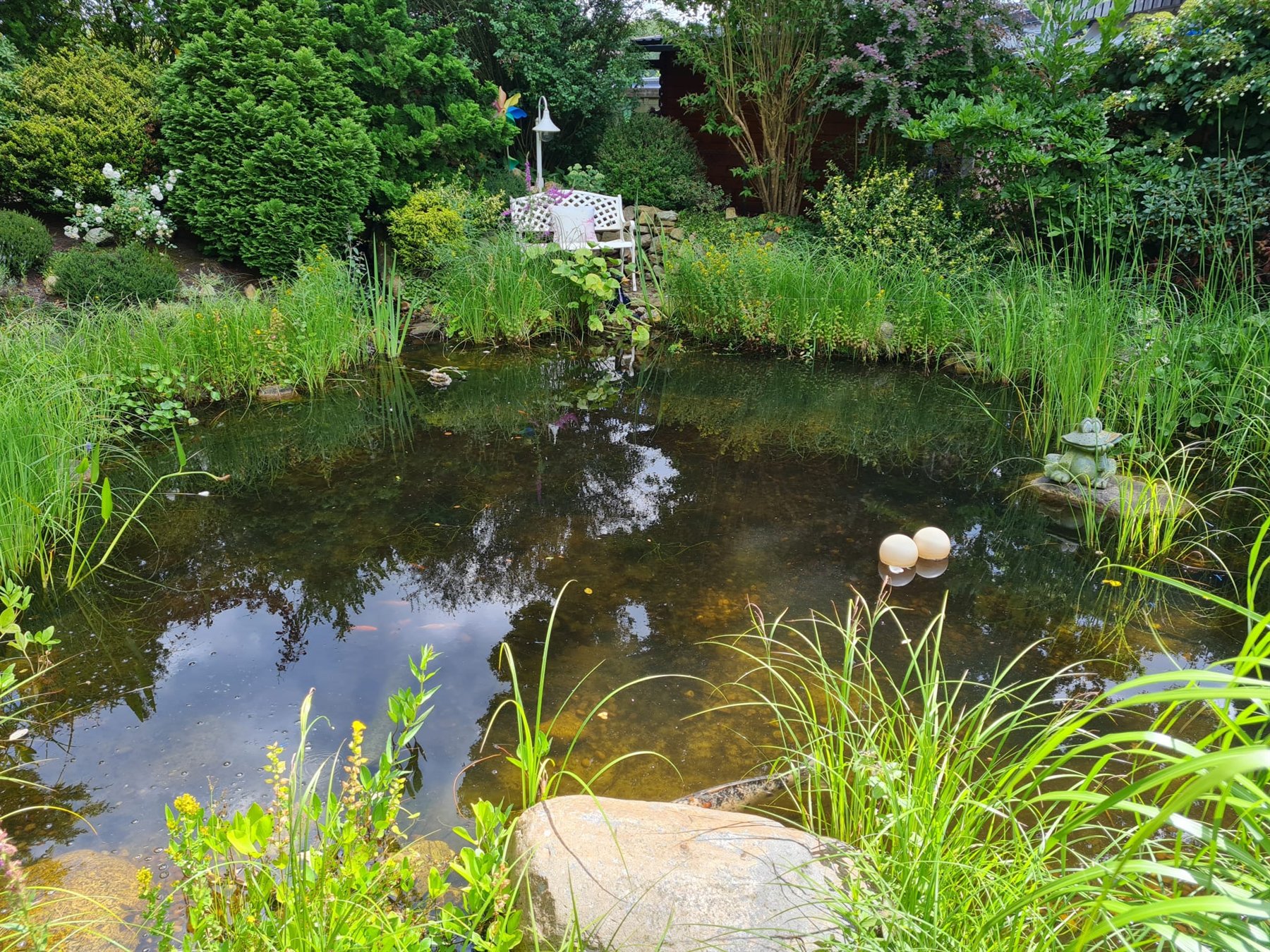 Sonniger Gartenteich mit Pavillon und üppigem Grün