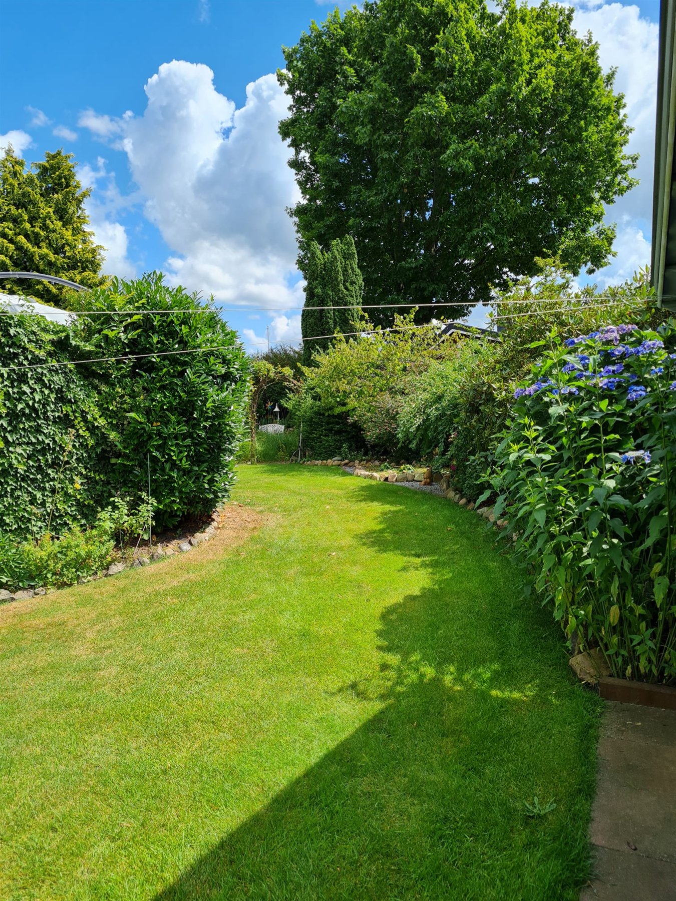 Grüner Gartenweg zwischen hohen Hecken