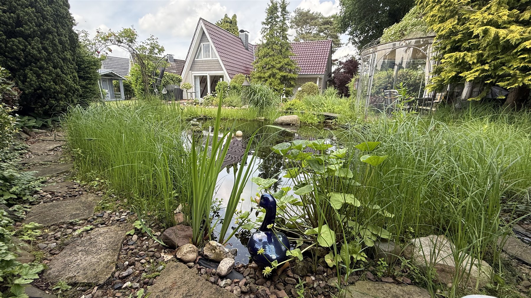 Naturnaher Teich mit Gräsern und Wasserpflanzen