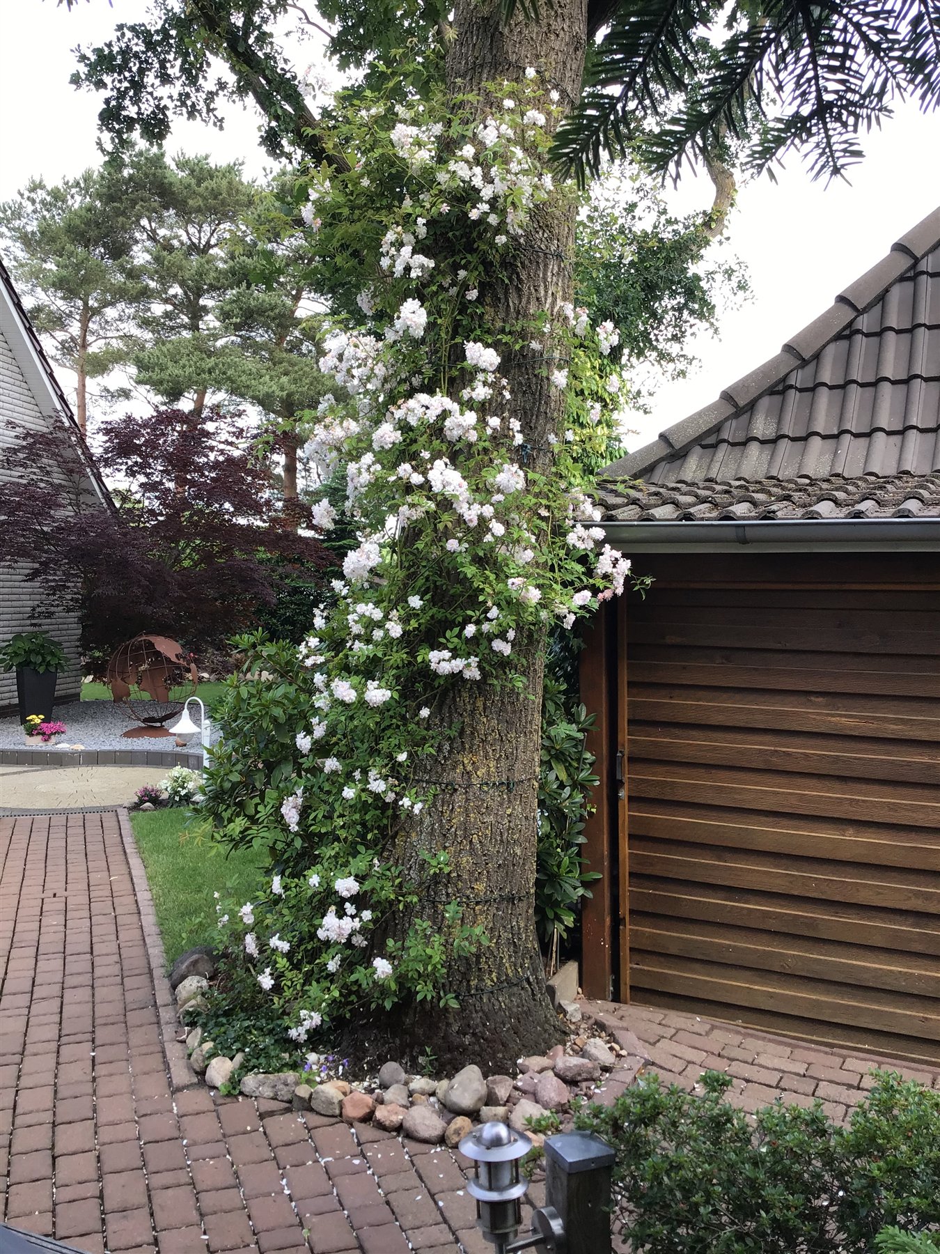 Rosenbogen am Gartenweg