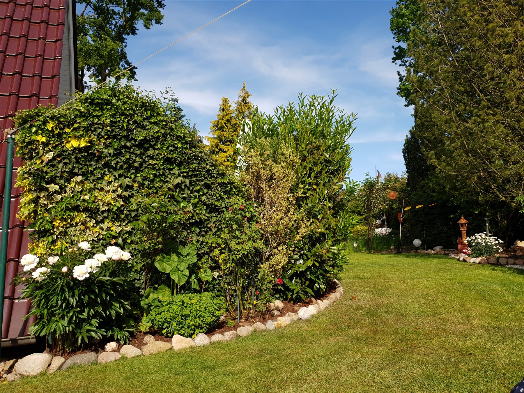 Sommerlicher Garten am Ferienhaus