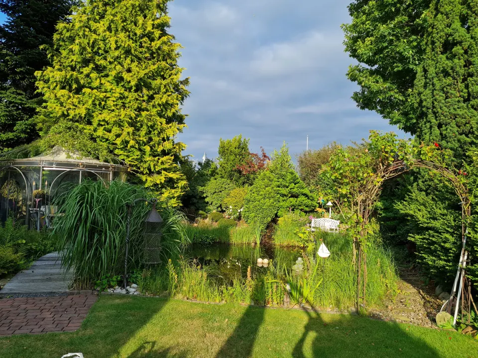 Garten und Teich in der warmen Abendsonne