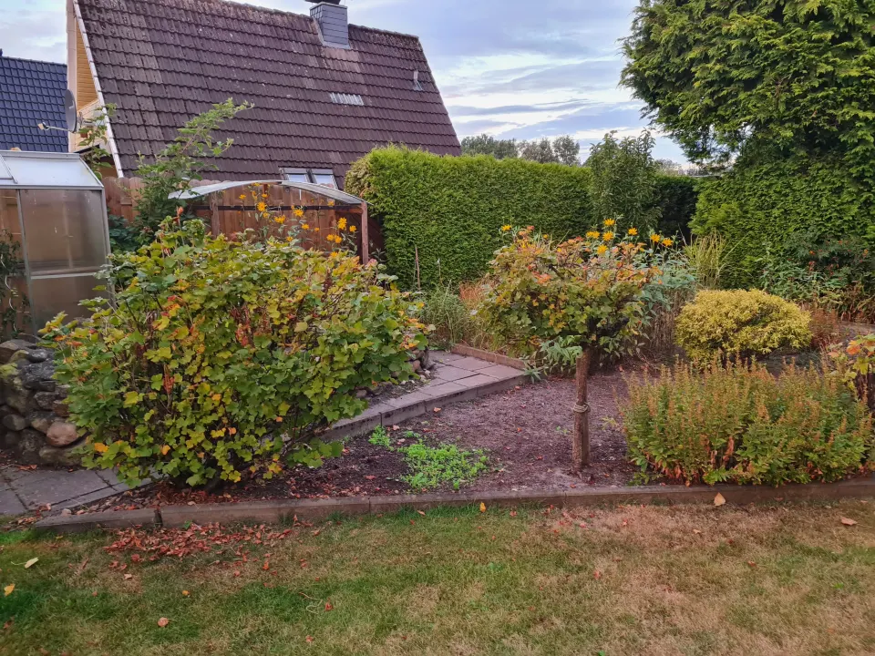 20260819_204739 - Kopie